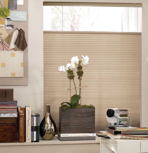 pleated-blinds-and-shades-our-recent-project-2